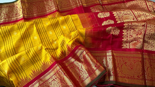 Gadwal handwoven silk saree with embroidered stitched blouse